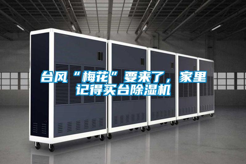 台风“梅花”要来了，家里记得买台茄子视频懂你更多在线观看