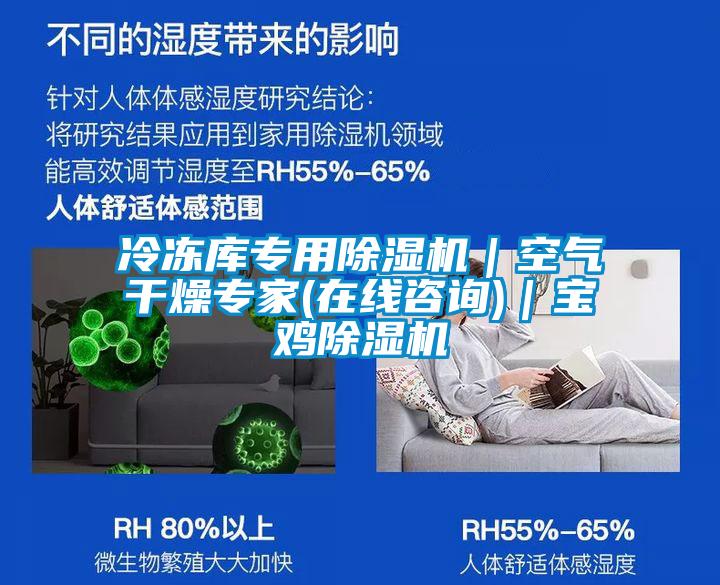 冷冻库专用茄子视频懂你更多在线观看|空气干燥专家(在线咨询)|宝鸡茄子视频懂你更多在线观看