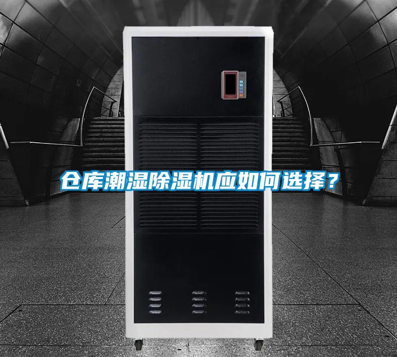 仓库潮湿茄子视频懂你更多在线观看应如何选择？