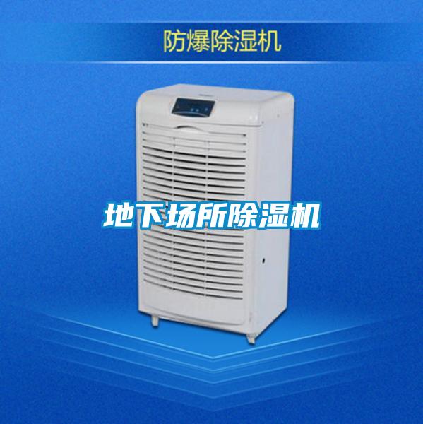 地下场所茄子视频懂你更多在线观看