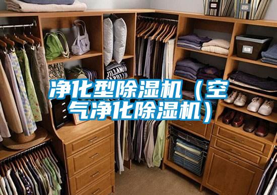 净化型茄子视频懂你更多在线观看（空气净化茄子视频懂你更多在线观看）