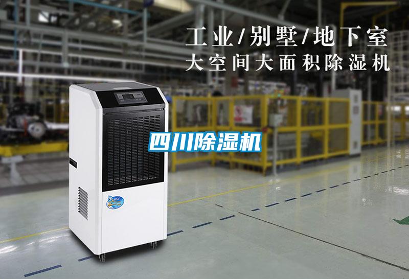 四川茄子视频懂你更多在线观看