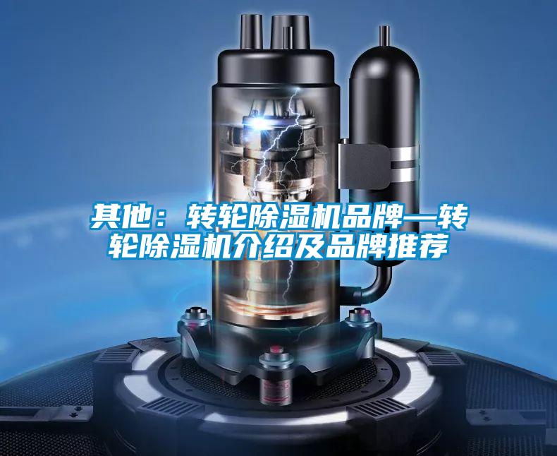 其他：转轮茄子视频懂你更多在线观看品牌—转轮茄子视频懂你更多在线观看介绍及品牌推荐