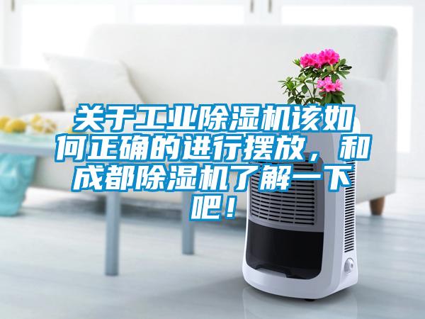 关于工业茄子视频懂你更多在线观看该如何正确的进行摆放，和成都茄子视频懂你更多在线观看了解一下吧！