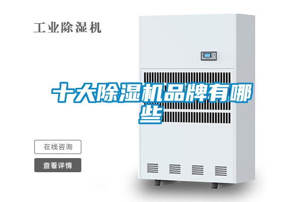 十大茄子视频懂你更多在线观看品牌有哪些