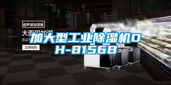 加大型工业茄子视频懂你更多在线观看DH-8156B