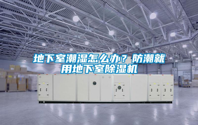 地下室潮湿怎么办？防潮就用地下室茄子视频懂你更多在线观看