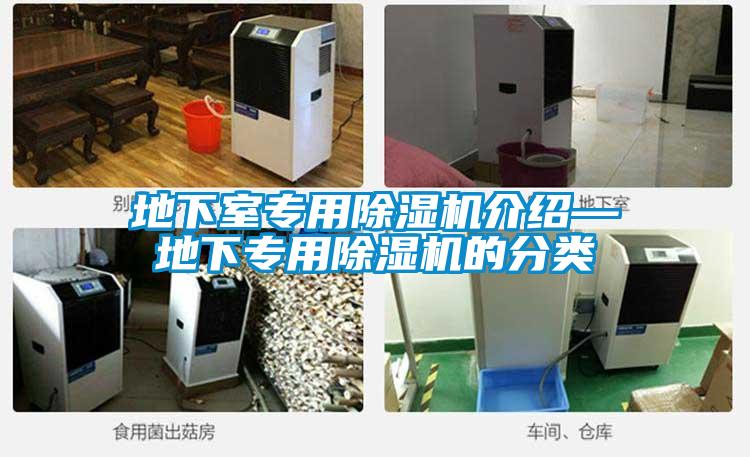 地下室专用茄子视频懂你更多在线观看介绍—地下专用茄子视频懂你更多在线观看的分类