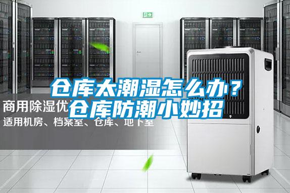 仓库太潮湿怎么办？仓库防潮小妙招