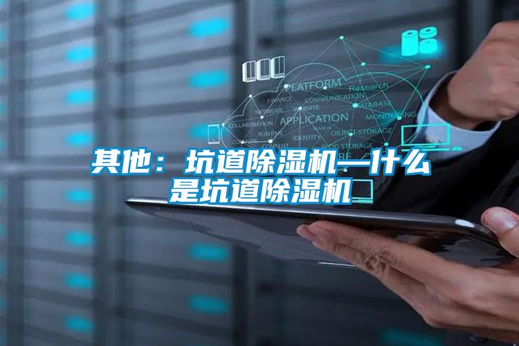 其他：坑道茄子视频懂你更多在线观看—什么是坑道茄子视频懂你更多在线观看