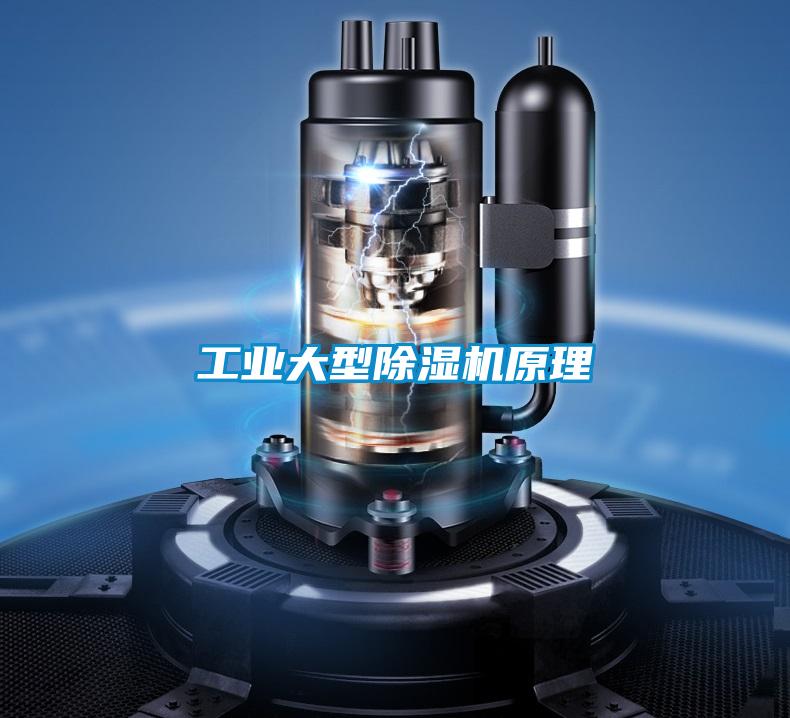 工业大型茄子视频懂你更多在线观看原理