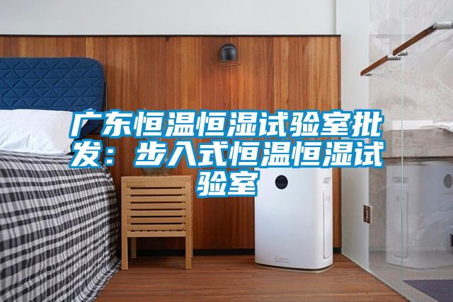 广东恒温恒湿试验室批发：步入式恒温恒湿试验室