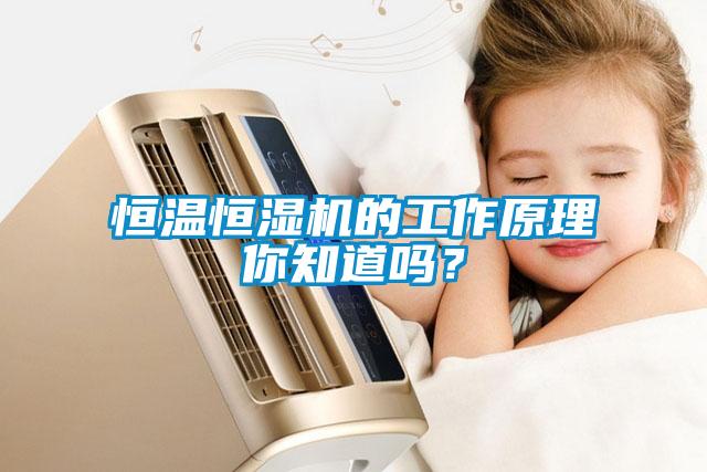 恒温恒湿机的工作原理你知道吗？