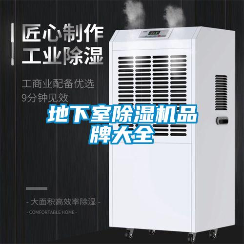 地下室茄子视频懂你更多在线观看品牌大全