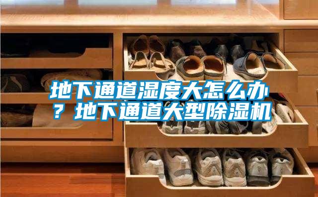 地下通道湿度大怎么办？地下通道大型茄子视频懂你更多在线观看