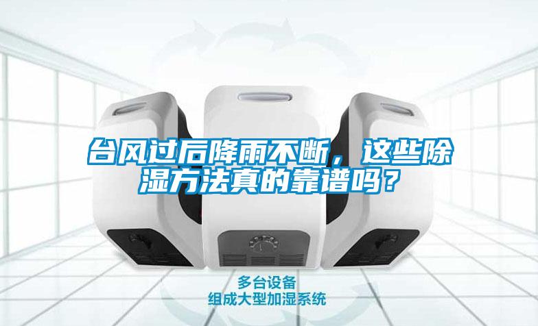 台风过后降雨不断，这些除湿方法真的靠谱吗？
