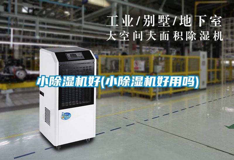 小茄子视频懂你更多在线观看好(小茄子视频懂你更多在线观看好用吗)