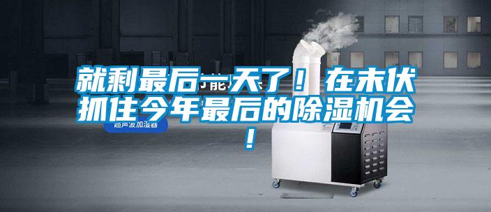 就剩最后一天了！在末伏抓住今年最后的茄子视频懂你更多在线观看会！