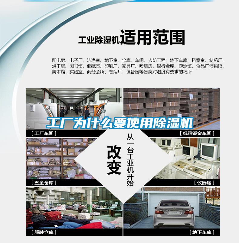 工厂为什么要使用茄子视频懂你更多在线观看