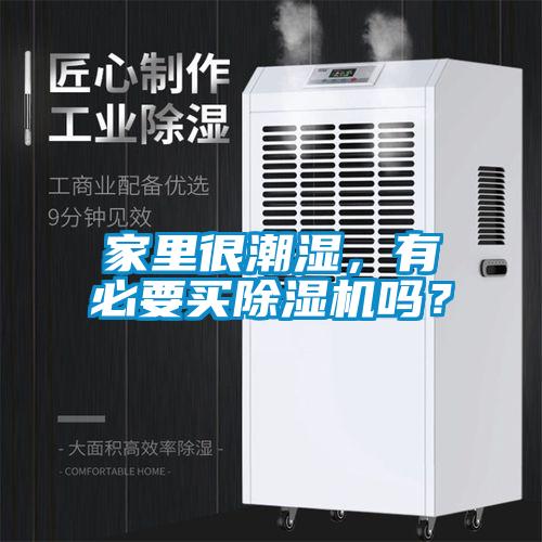 家里很潮湿，有必要买茄子视频懂你更多在线观看吗？