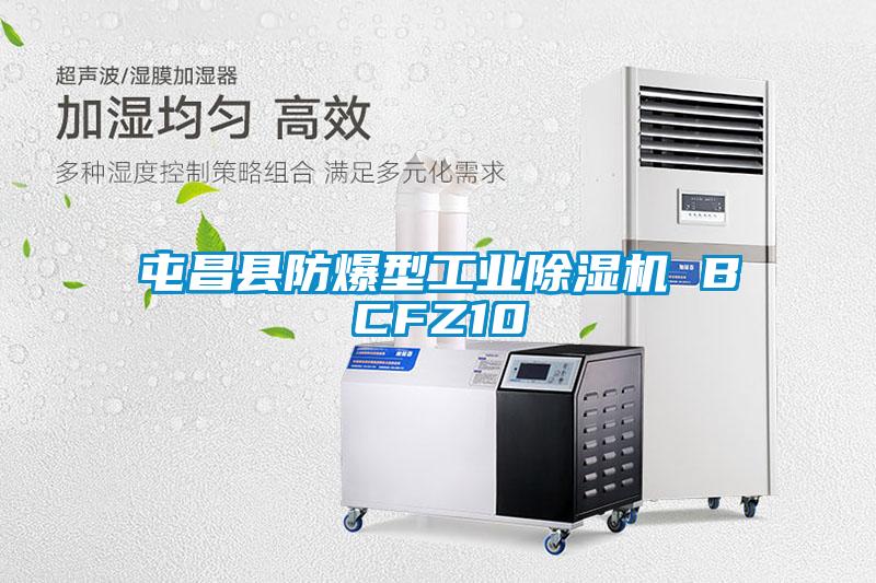 屯昌县防爆型工业茄子视频懂你更多在线观看 BCFZ10