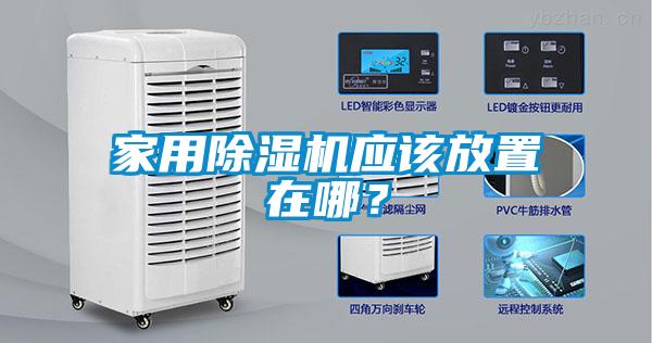 家用茄子视频懂你更多在线观看应该放置在哪？