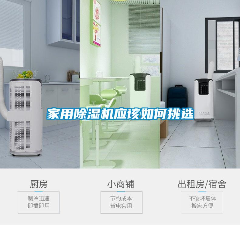 家用茄子视频懂你更多在线观看应该如何挑选