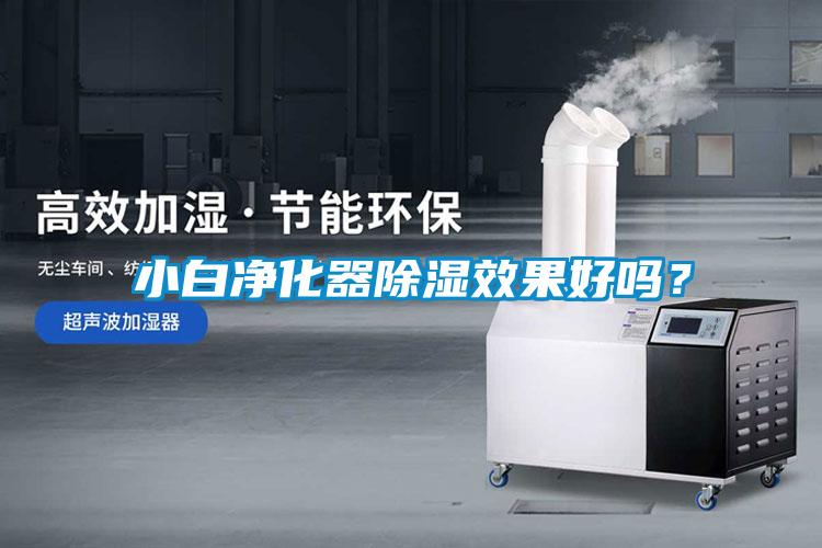 小白净化器除湿效果好吗？