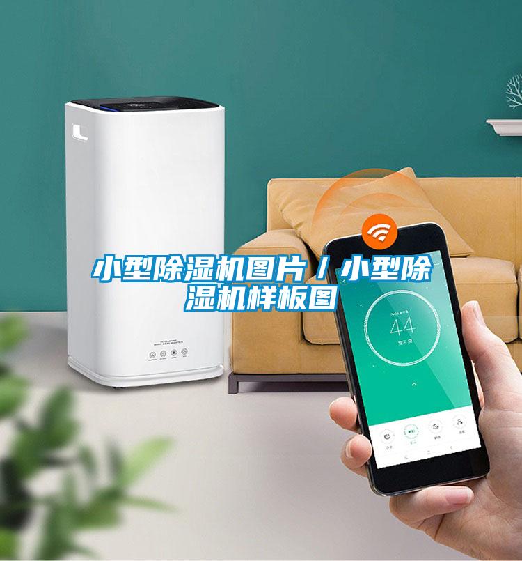 小型茄子视频懂你更多在线观看图片／小型茄子视频懂你更多在线观看样板图