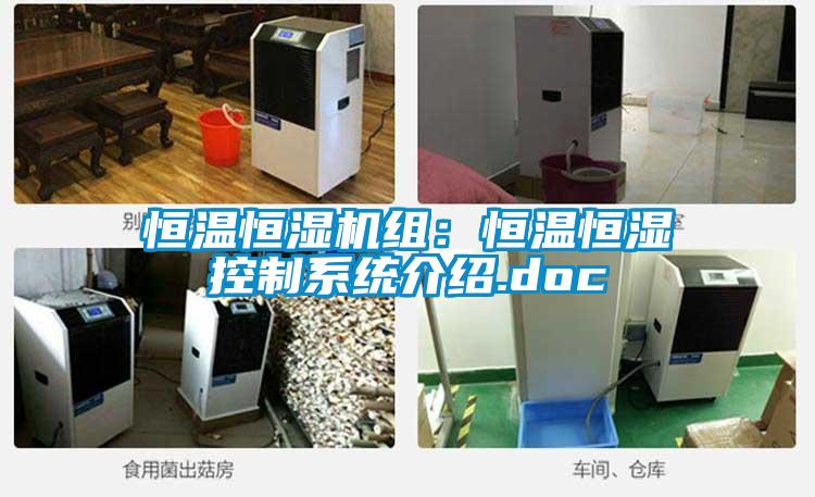 恒温恒湿机组：恒温恒湿控制系统介绍.doc