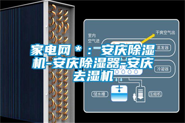 家电网＊：安庆茄子视频懂你更多在线观看-安庆除湿器-安庆去湿机