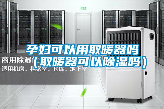 孕妇可以用取暖器吗(取暖器可以除湿吗)