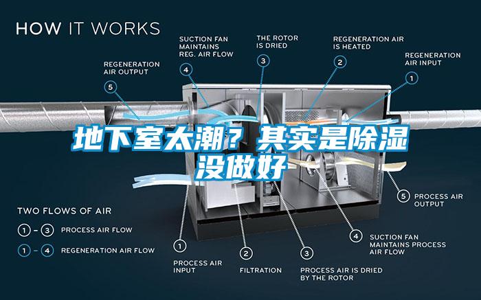 地下室太潮？其实是除湿没做好