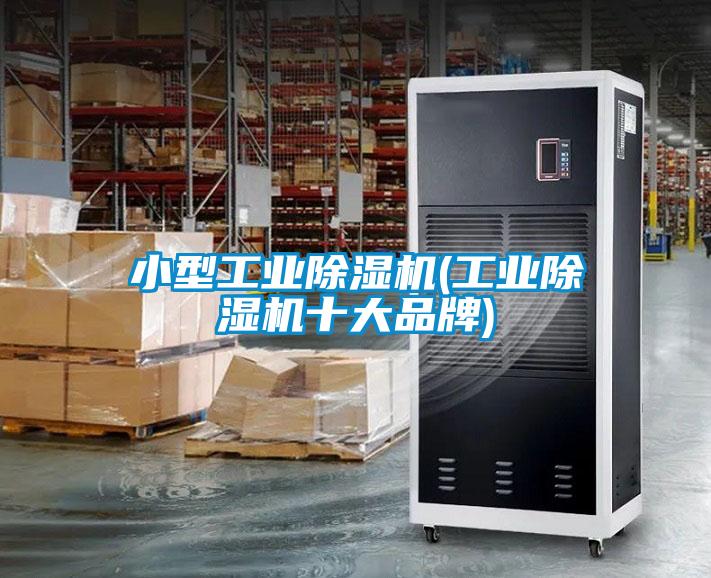 小型工业茄子视频懂你更多在线观看(工业茄子视频懂你更多在线观看十大品牌)