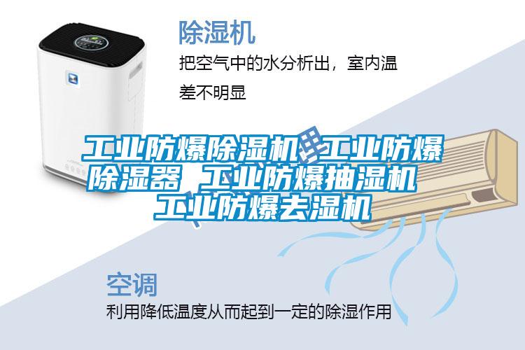工业防爆茄子视频懂你更多在线观看 工业防爆除湿器 工业防爆抽湿机 工业防爆去湿机