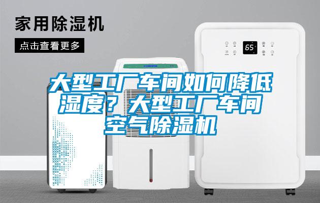 大型工厂车间如何降低湿度？大型工厂车间空气茄子视频懂你更多在线观看