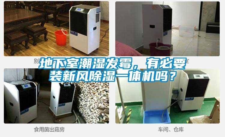 地下室潮湿发霉，有必要装新风除湿一体机吗？