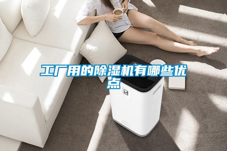 工厂用的茄子视频懂你更多在线观看有哪些优点