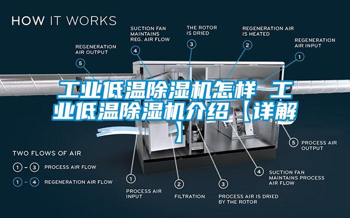 工业低温茄子视频懂你更多在线观看怎样 工业低温茄子视频懂你更多在线观看介绍【详解】
