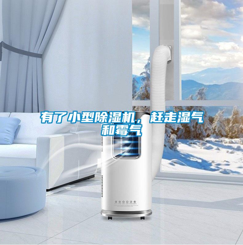 有了小型茄子视频懂你更多在线观看，赶走湿气和霉气