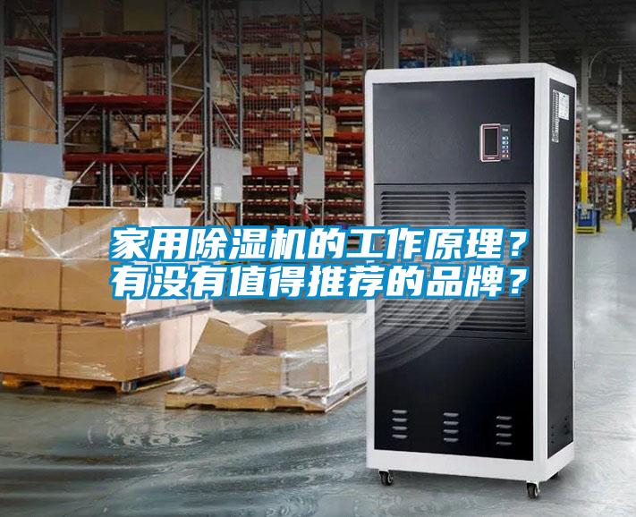 家用茄子视频懂你更多在线观看的工作原理？有没有值得推荐的品牌？