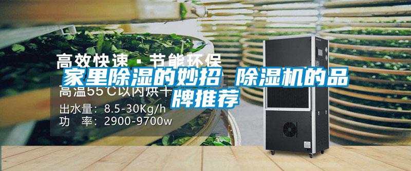 家里除湿的妙招 茄子视频懂你更多在线观看的品牌推荐