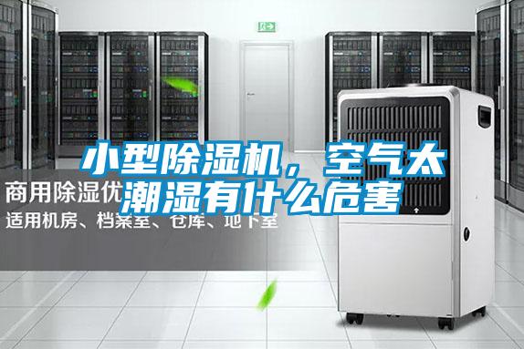 小型茄子视频懂你更多在线观看，空气太潮湿有什么危害