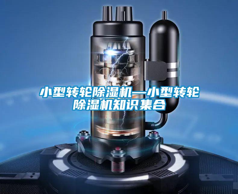 小型转轮茄子视频懂你更多在线观看—小型转轮茄子视频懂你更多在线观看知识集合
