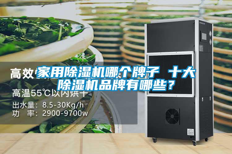 家用茄子视频懂你更多在线观看哪个牌子 十大茄子视频懂你更多在线观看品牌有哪些？