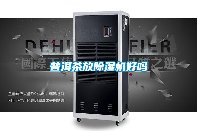 普洱茶放茄子视频懂你更多在线观看好吗