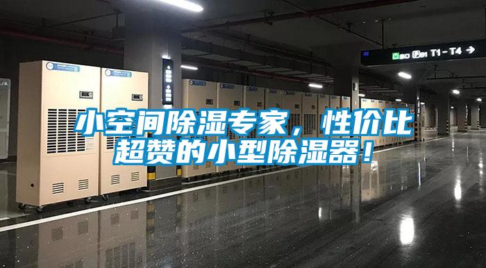 小空间除湿专家，性价比超赞的小型除湿器！