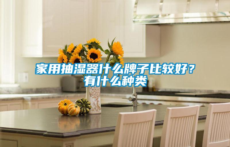 家用抽湿器什么牌子比较好？有什么种类