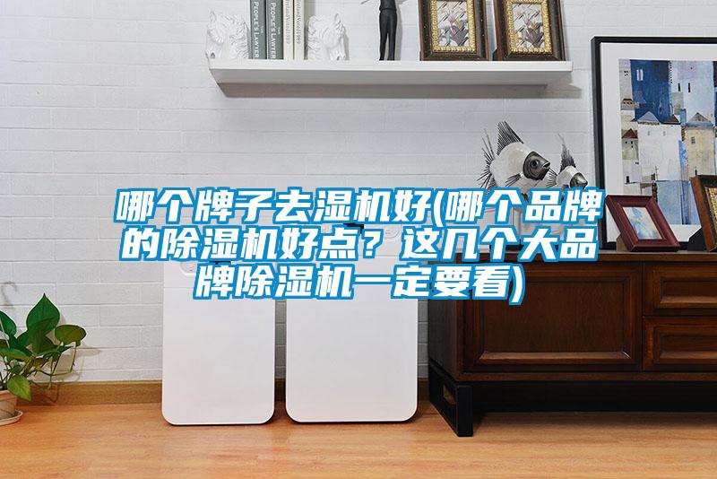 哪个牌子去湿机好(哪个品牌的茄子视频懂你更多在线观看好点？这几个大品牌茄子视频懂你更多在线观看一定要看)