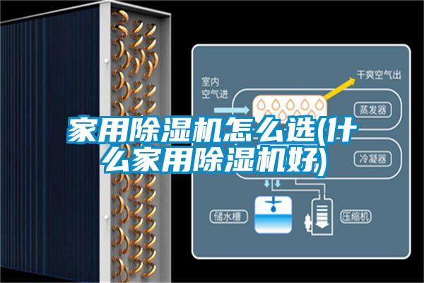 家用茄子视频懂你更多在线观看怎么选(什么家用茄子视频懂你更多在线观看好)